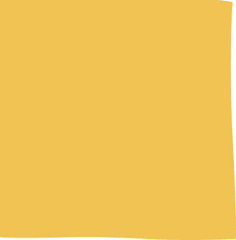 Fund Icon